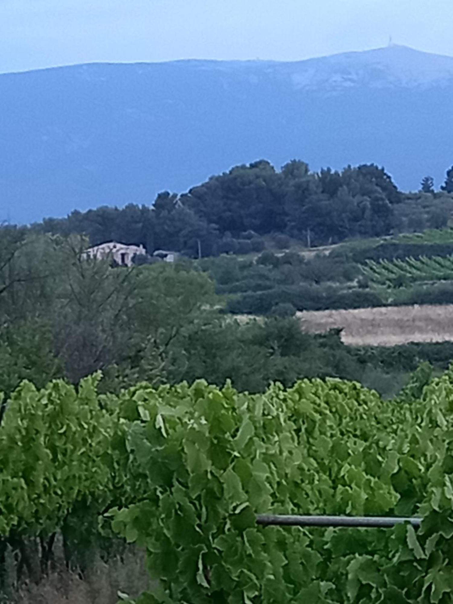 Villa La Pifote Villes-sur-Auzon Exterior foto